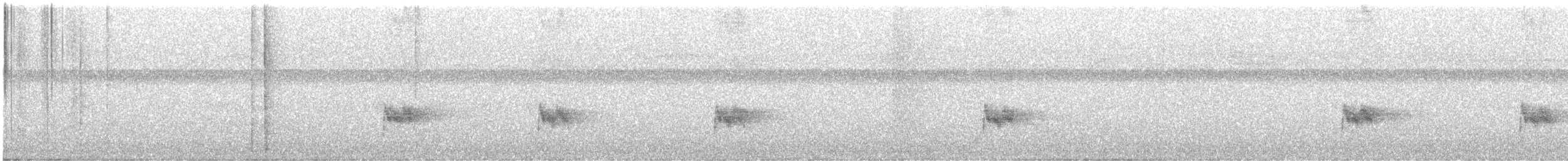 White-breasted Wood-Wren - ML647380068