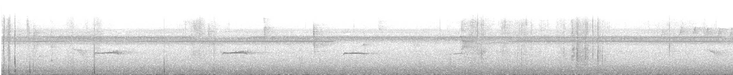 Western Wood-Pewee - ML647381078