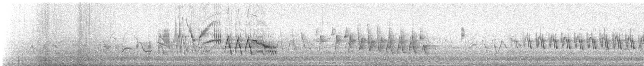 Grauwangen-Musendrossel - ML647381103