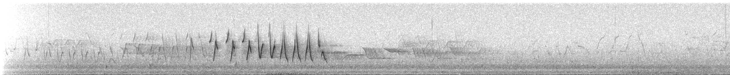 Northern Waterthrush - ML647381107