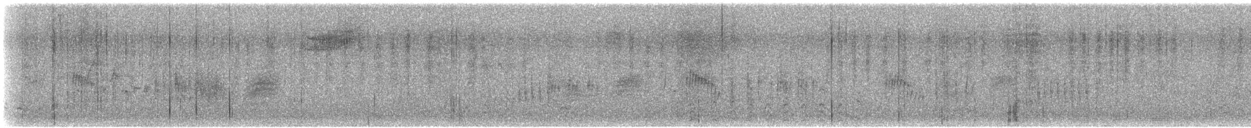 Chochín Criollo Norteño (grupo aedon) - ML647381335