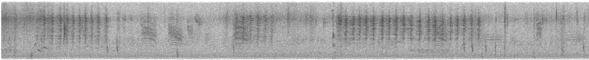 Chochín Criollo Norteño (grupo aedon) - ML647381336