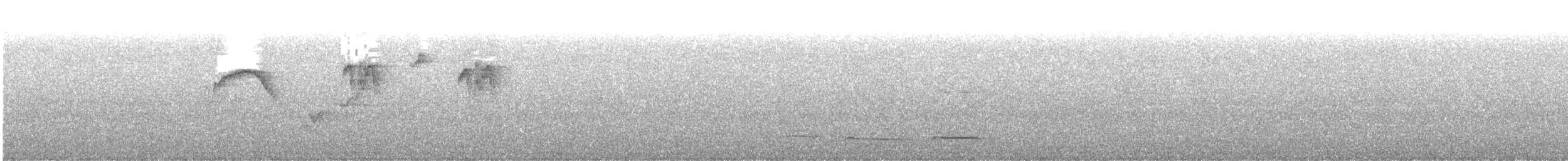 Pitajo à ventre brun - ML647382012