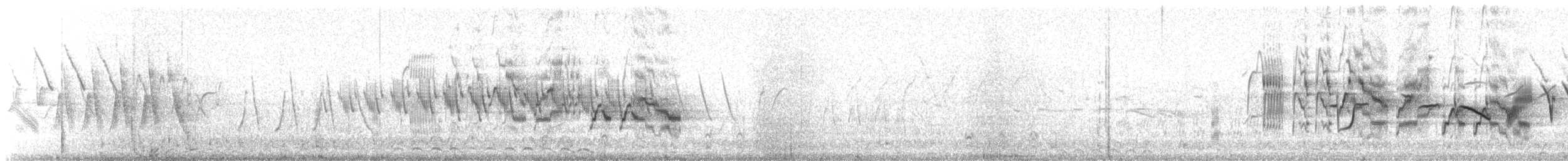 Grauwangen-Musendrossel - ML647382036