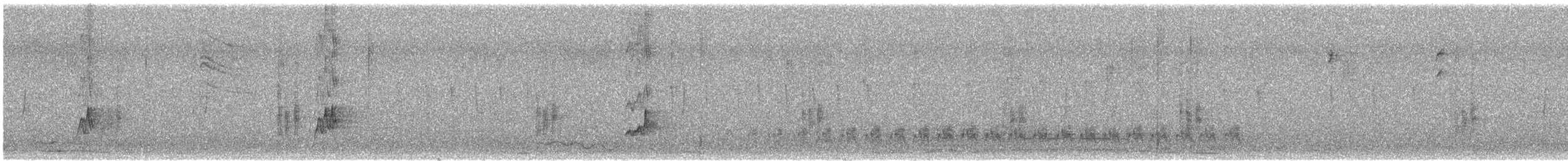 Perlita Grisilla (Occidental) - ML647382516