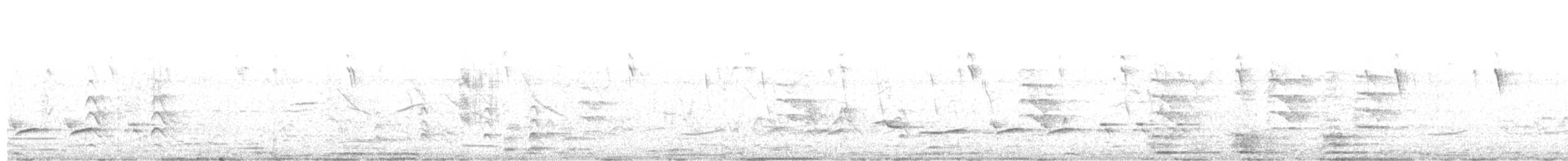 slípka americká - ML647382739