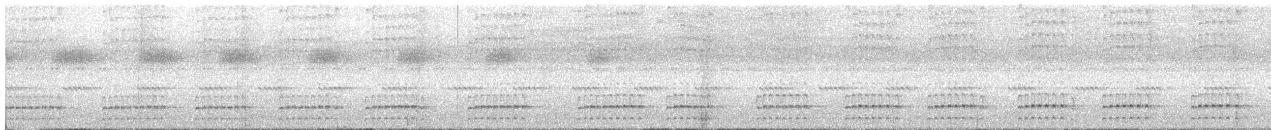 タタマオタテドリ - ML647382936