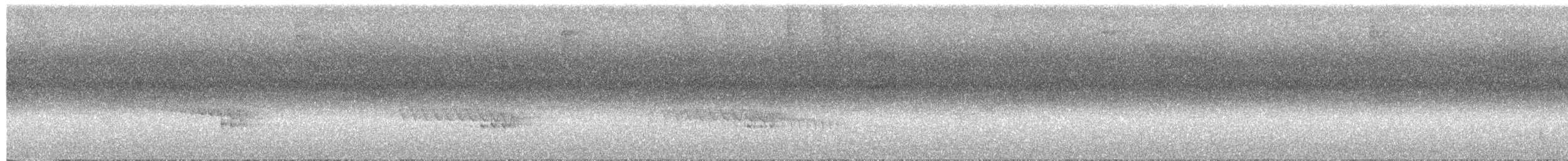 シロボシオニキバシリ（aequatorialis グループ） - ML647382990