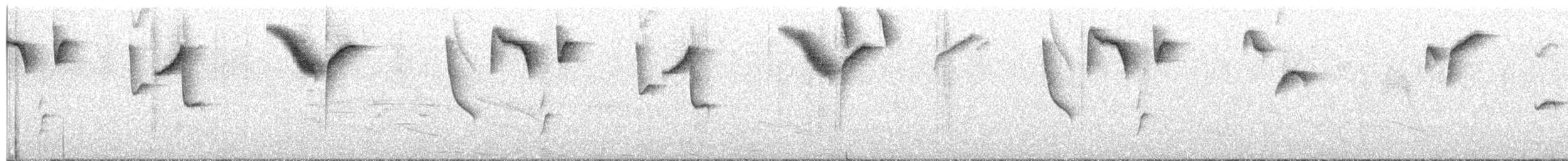 ハイマユヤブシトド - ML647383072