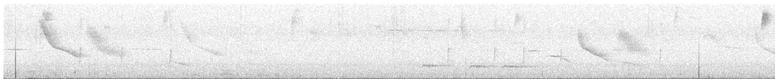 フタスジタイランチョウ - ML647383077