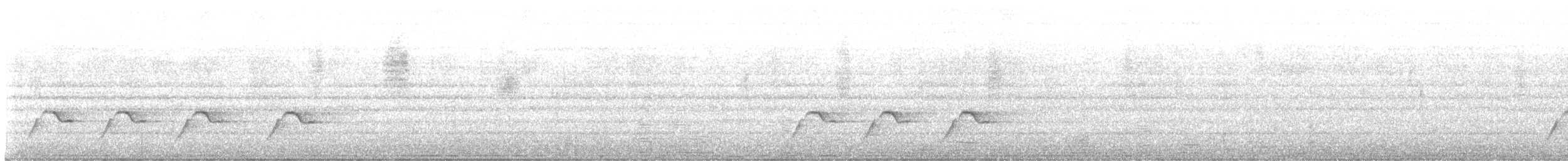 ビロードヒラハシ - ML647383087