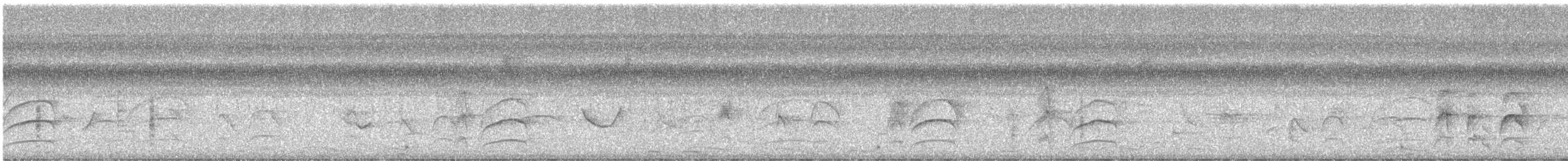 キバラオオタイランチョウ - ML647383394