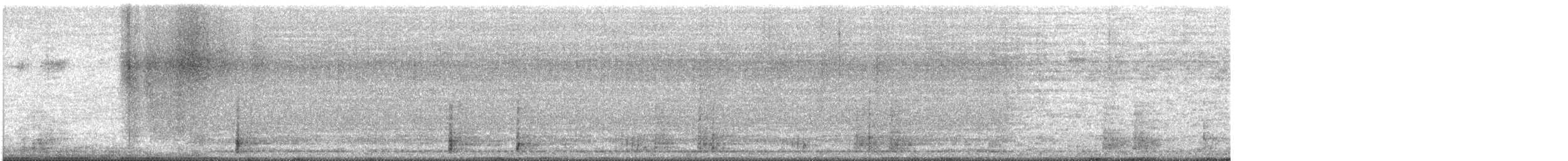 Guajolote Gallipavo - ML647383668