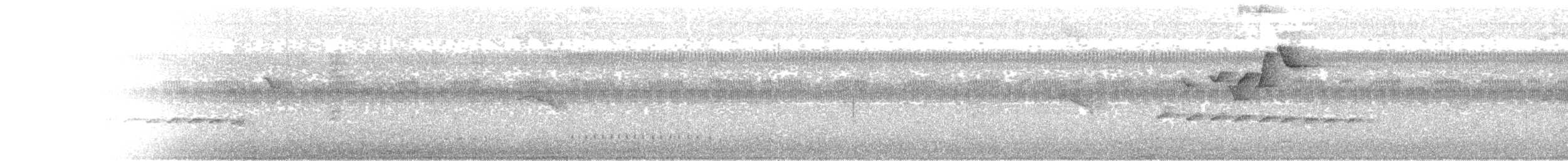 Mistletoe Tyrannulet - ML647384136