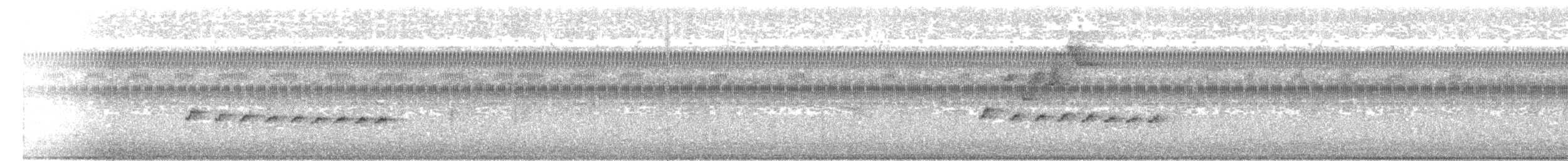Mistletoe Tyrannulet - ML647384137
