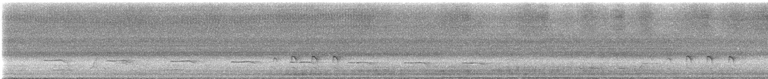 Sacred Kingfisher - ML647385516