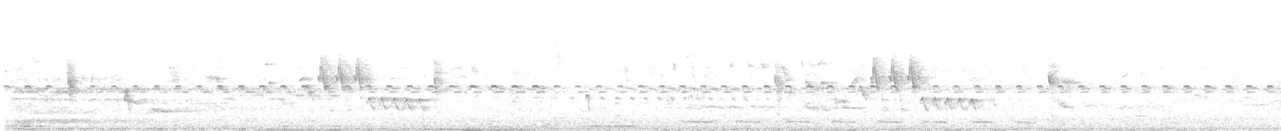 Dark-billed Cuckoo - ML647385669