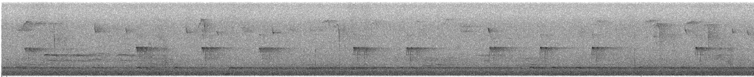 Carolina Wren - ML647386433