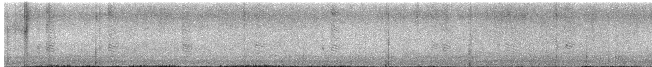 Austral Blackbird - ML647387800
