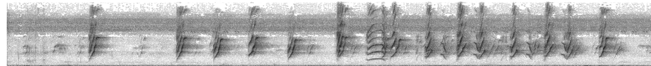 plommehodeparakitt - ML647387997