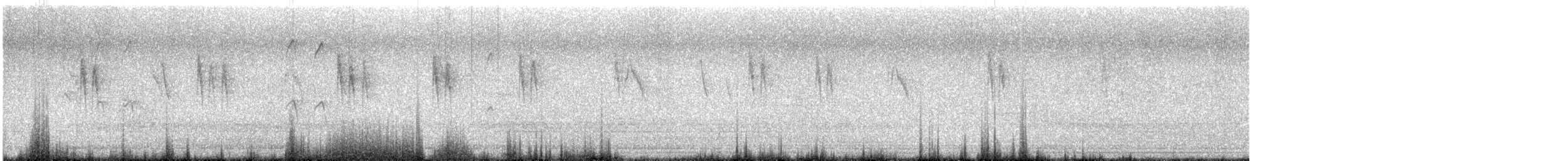 White Wagtail - ML647388293