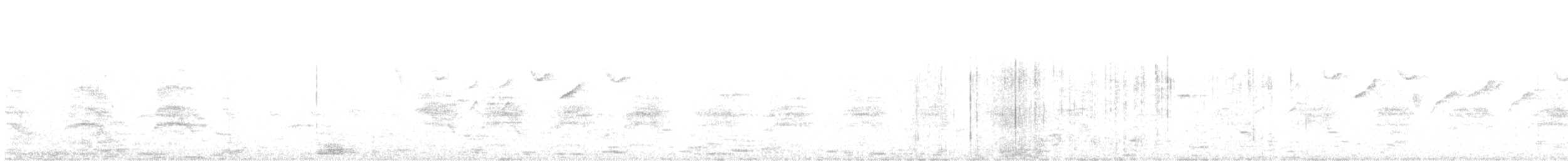 Cacique (Cacicus) sp. - ML647388808