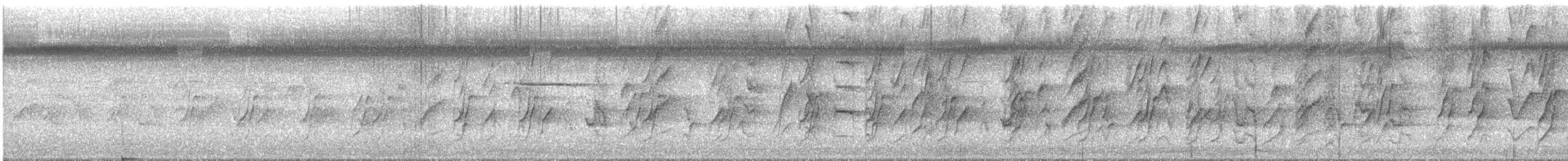 plommehodeparakitt - ML647388896