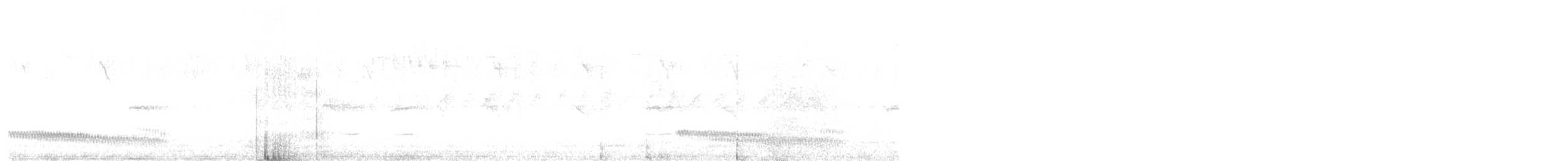 Batará Gigante - ML647389180