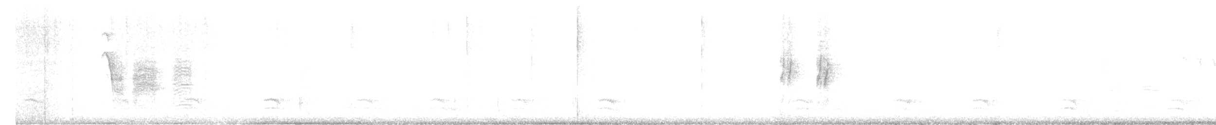 White-breasted Nuthatch (Pacific) - ML647389200