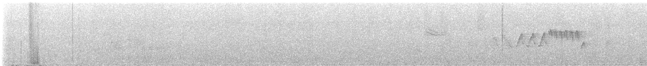 Tropical Parula - ML647389213