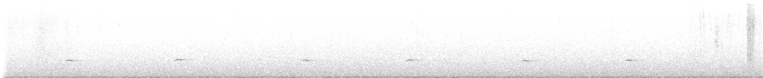 Townsend's Solitaire - ML647389259