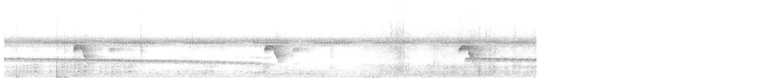 Dot-winged Antwren (White-tailed) - ML647389732