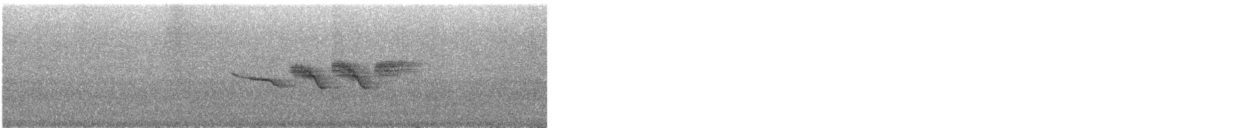 Black-throated Blue Warbler - ML647389974