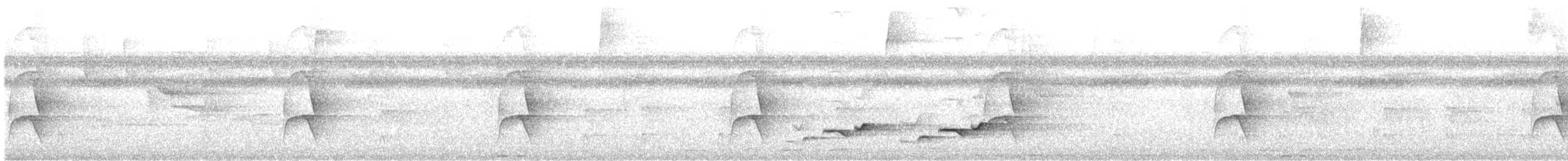 Rufous-tailed Jacamar - ML647390213