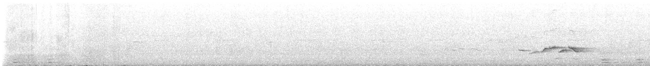 チメドリ - ML647390722