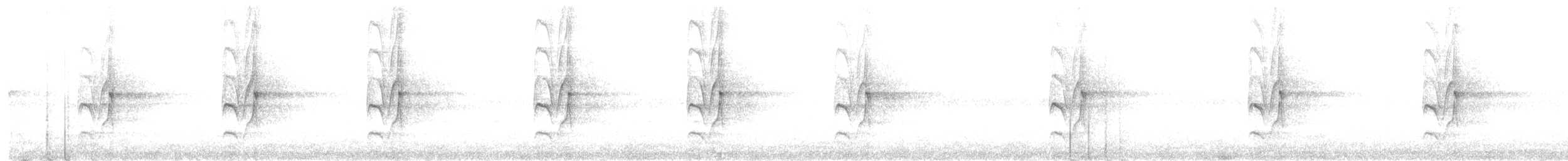 キンカムリブチタイランチョウ - ML647391004