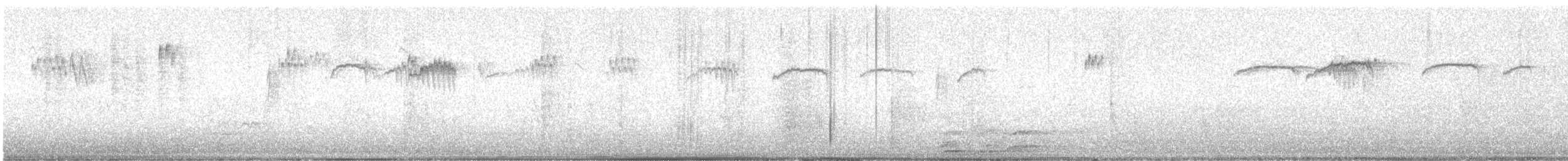 ヒメレンジャク - ML647391190