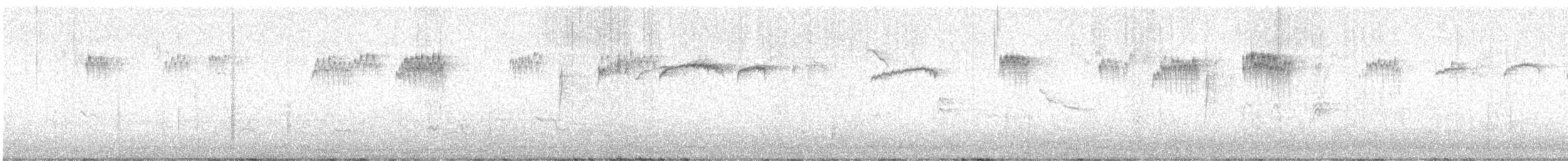 ヒメレンジャク - ML647391192