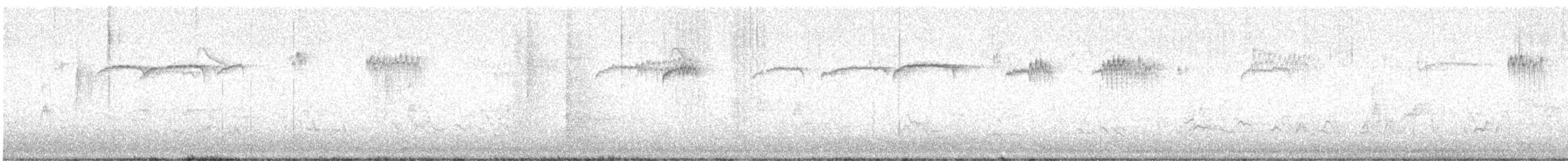 ヒメレンジャク - ML647391195