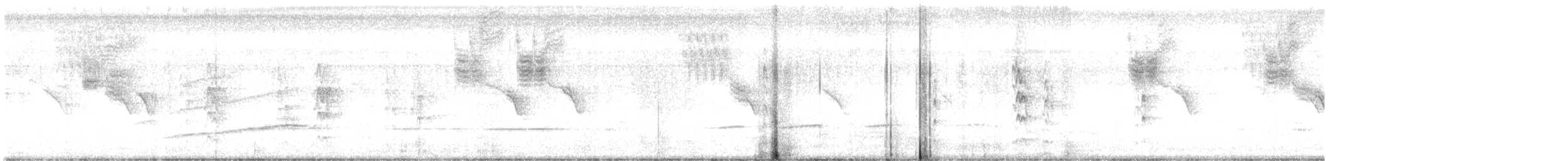 tyran západní - ML647391385