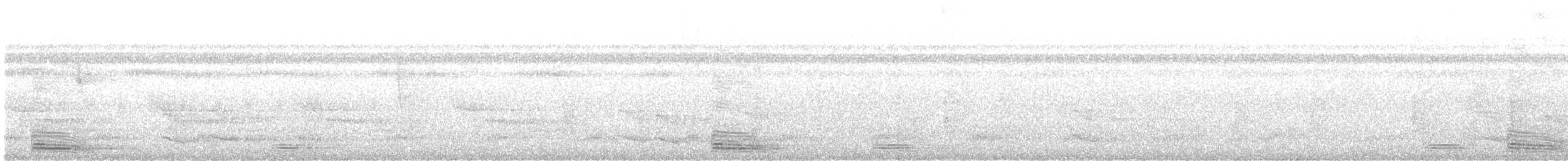 momot širokozobý - ML647391399