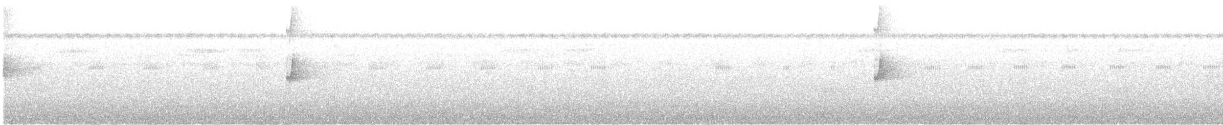 Black-capped Pygmy-Tyrant - ML647391454