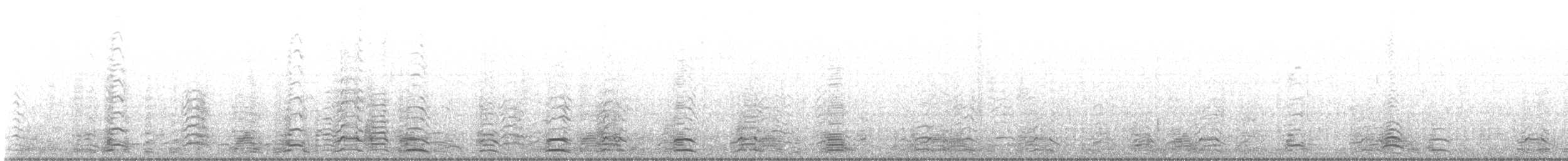 Snow Goose - ML647391790