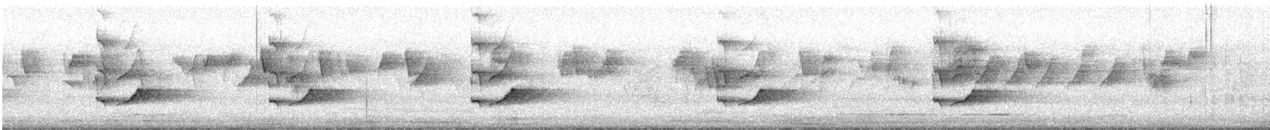 Hair-crested Drongo (Hair-crested) - ML647392280