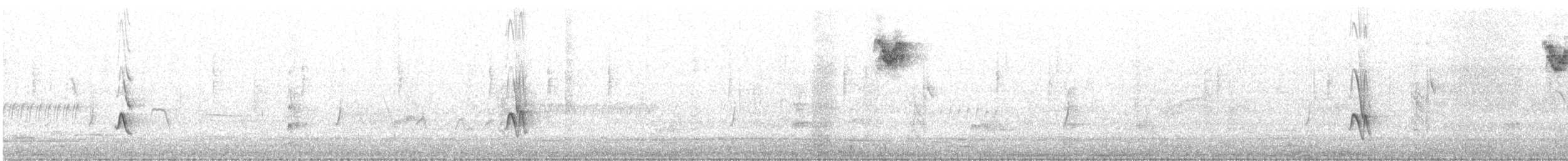 House Finch (Common) - ML647392469