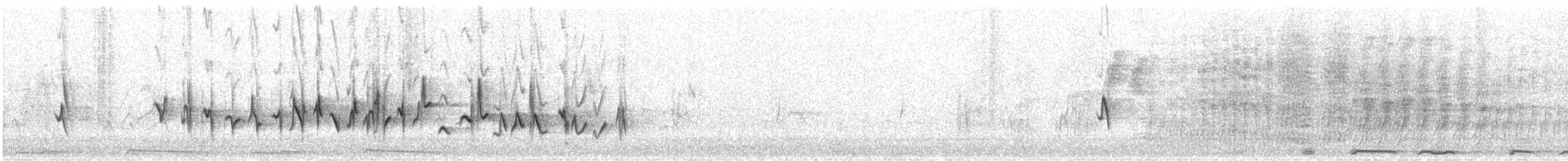 House Finch (Common) - ML647392470