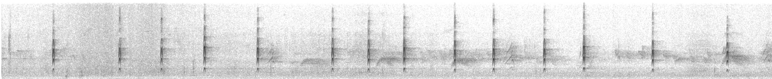 Западный тиранн - ML647392478