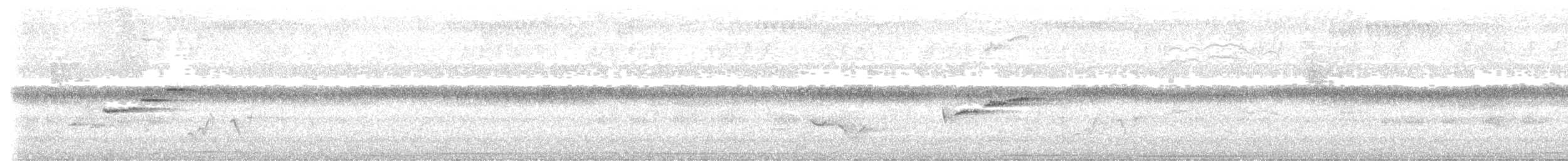 Yellow-bellied Warbler - ML647393786