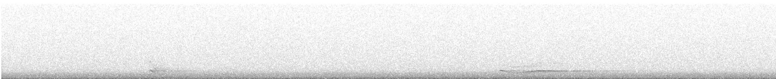 Northern Saw-whet Owl - ML647394614