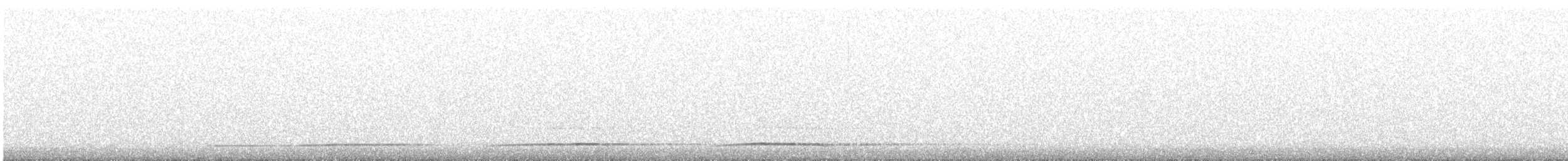 Northern Saw-whet Owl - ML647394615